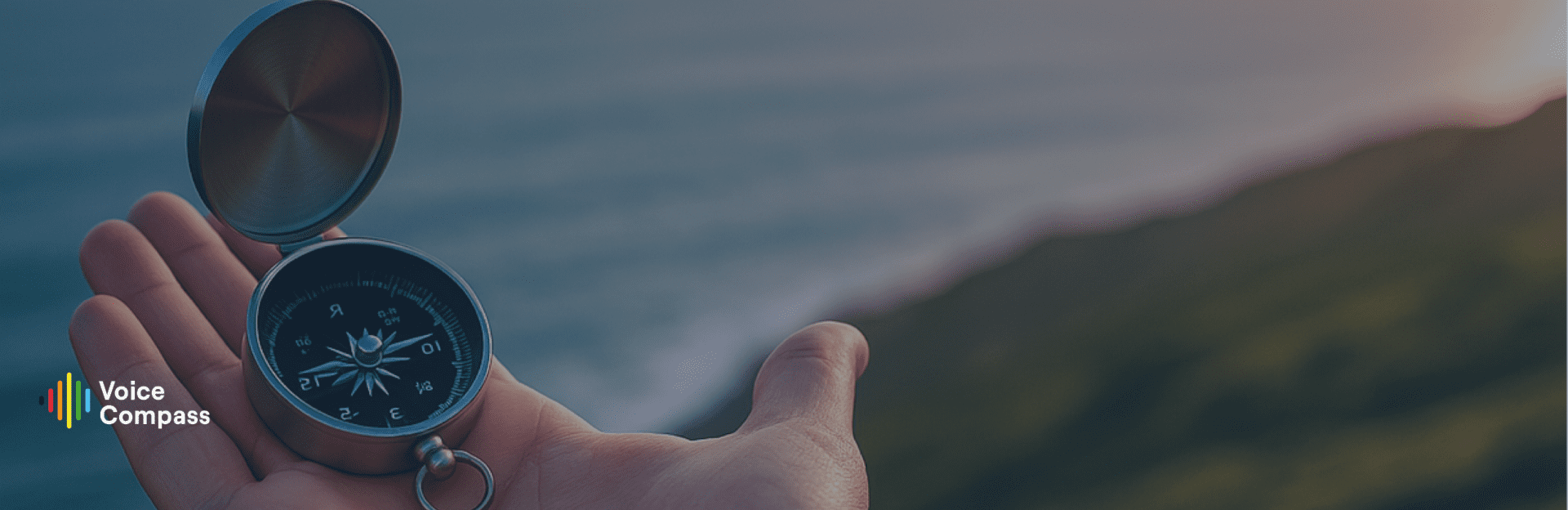 Voice Compass stemanalyse met uitgebreid rapport en persoonlijk consult voor groei en team