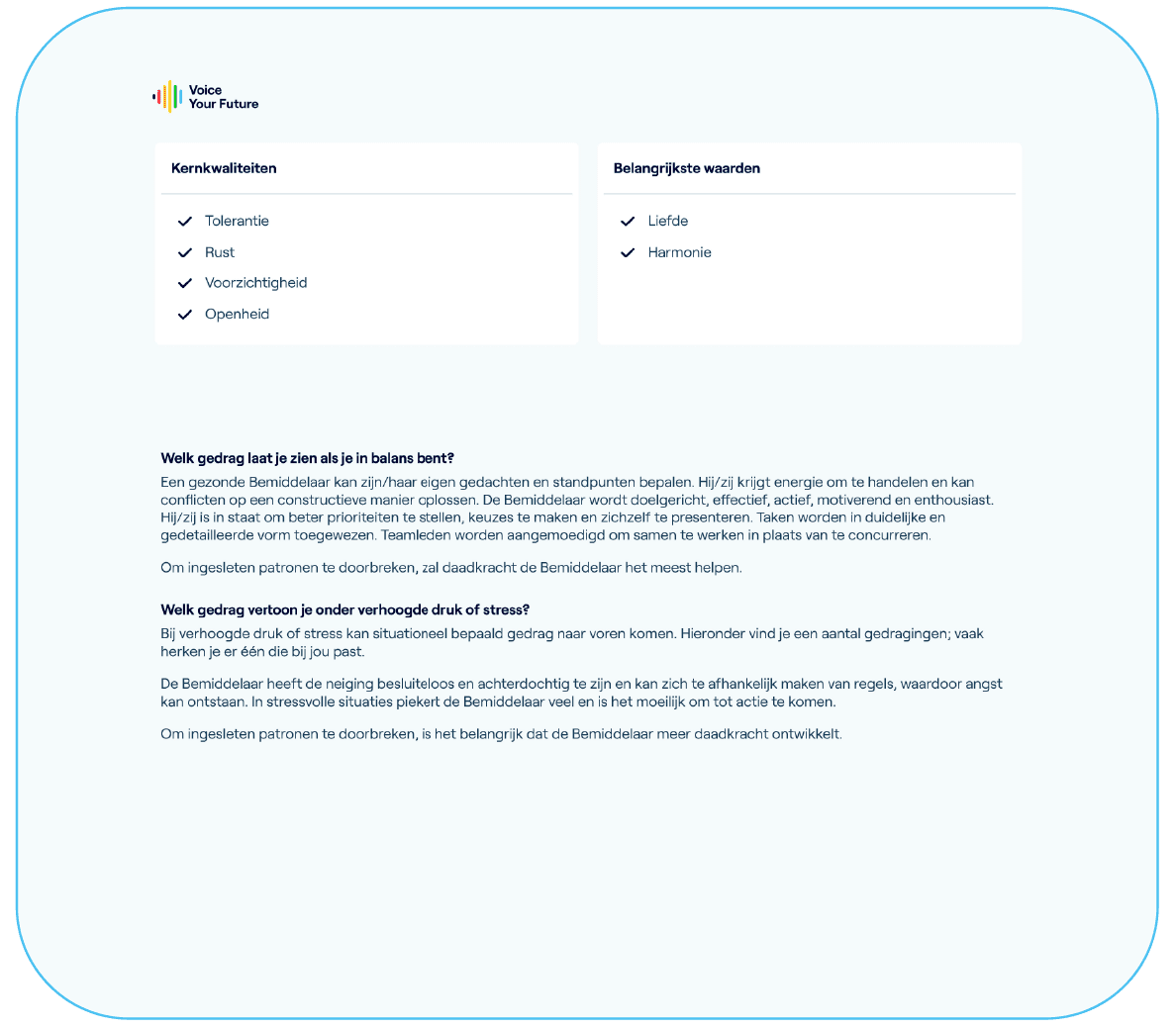 Voice Compass samenvatting profielrapport persoonljkheid kernkwaliteiten waarden