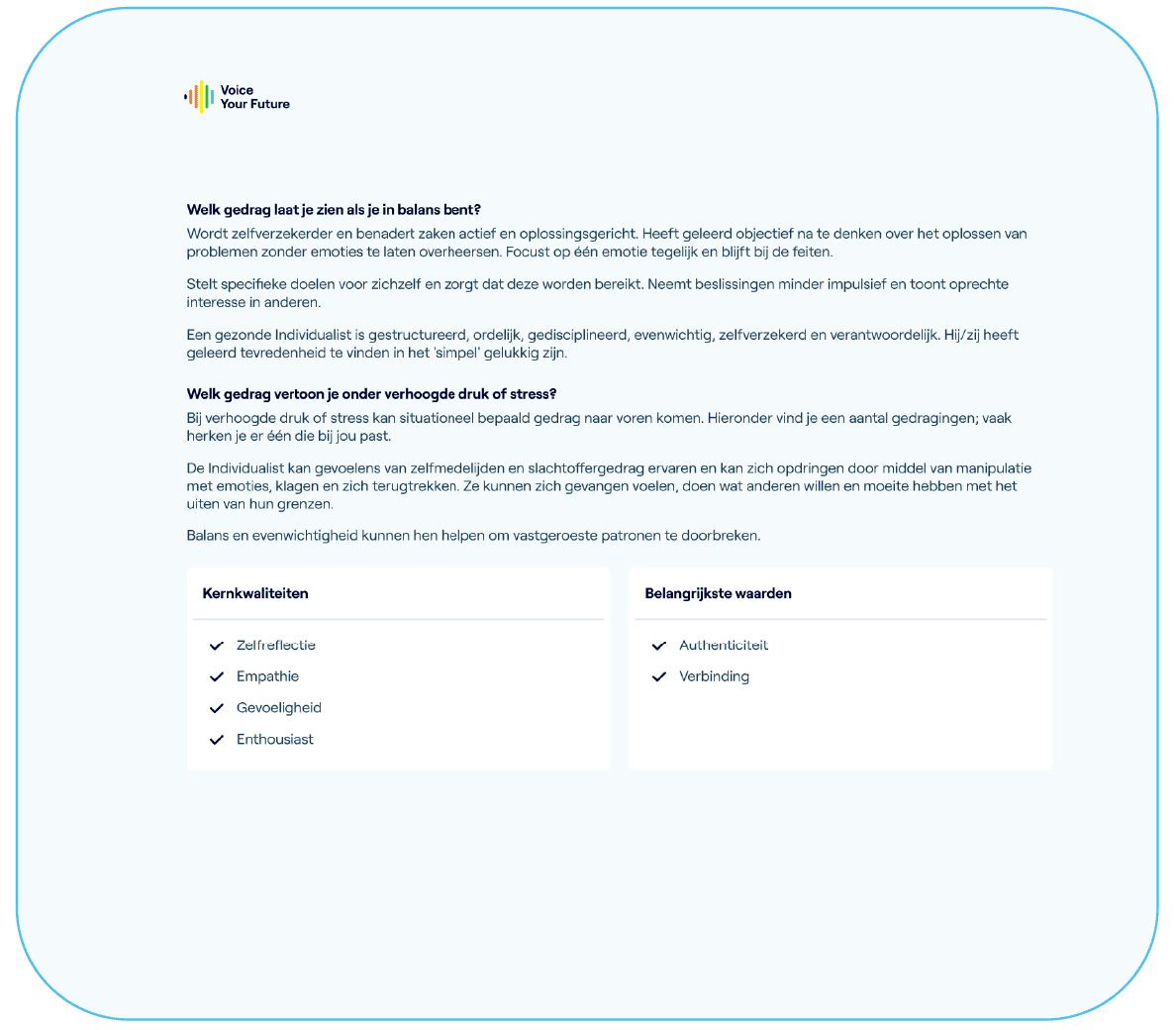 Voice Compass samenvatting profielrapport zelfbeeld kernwaarden drijfveren