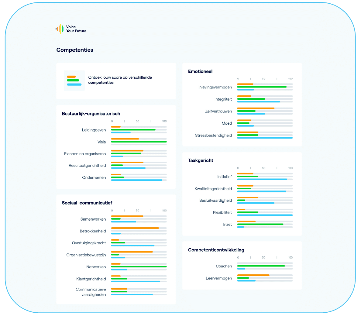 Voice Compass samenvatting profielrapport competenties vaardigheden