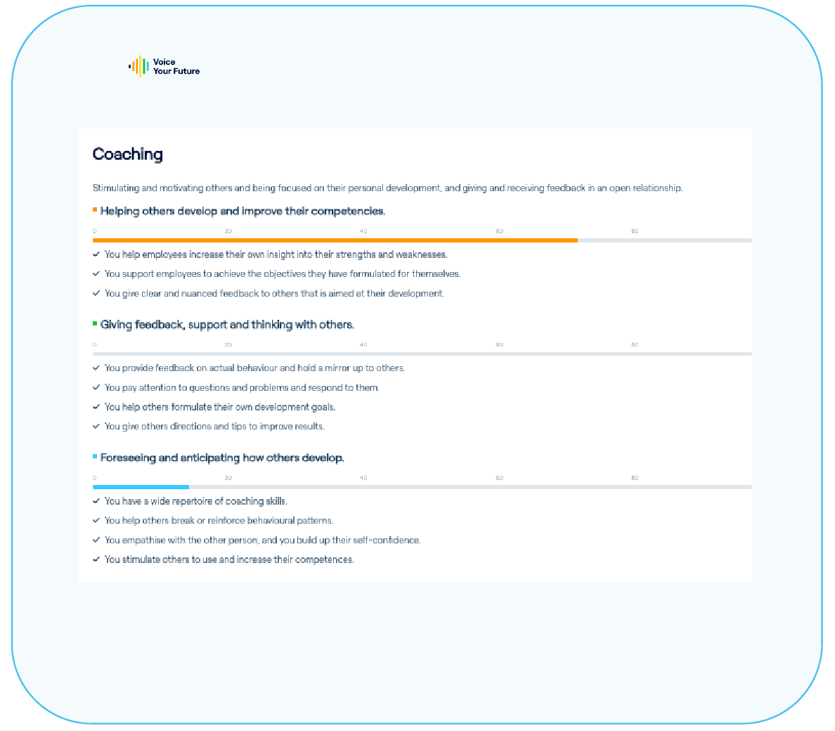 Voice Compass personal profile report example skills detailed