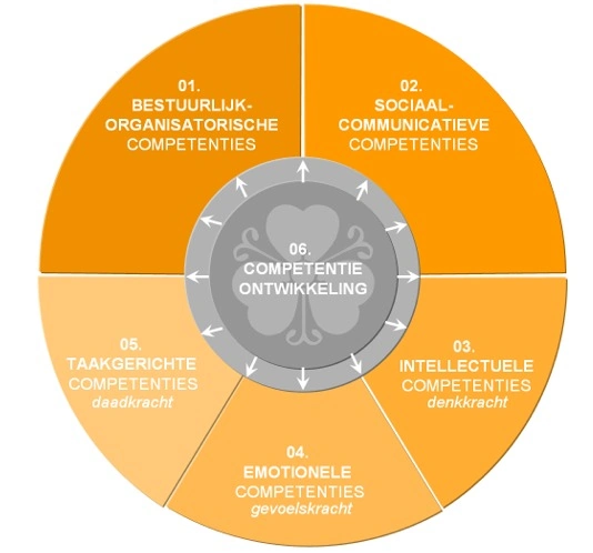 Competentiemodel Nieuwenhuis The Art of Management