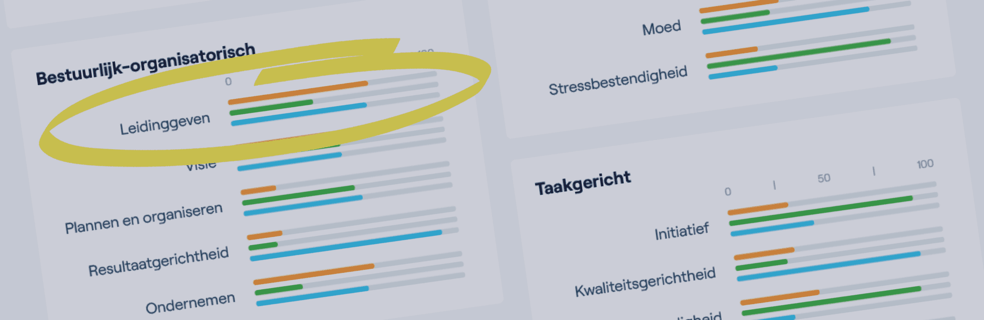 Competentie skills leiderschap
