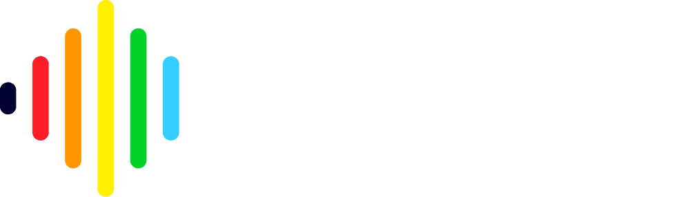 Voice Experience